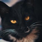 Pexels photo 16827805