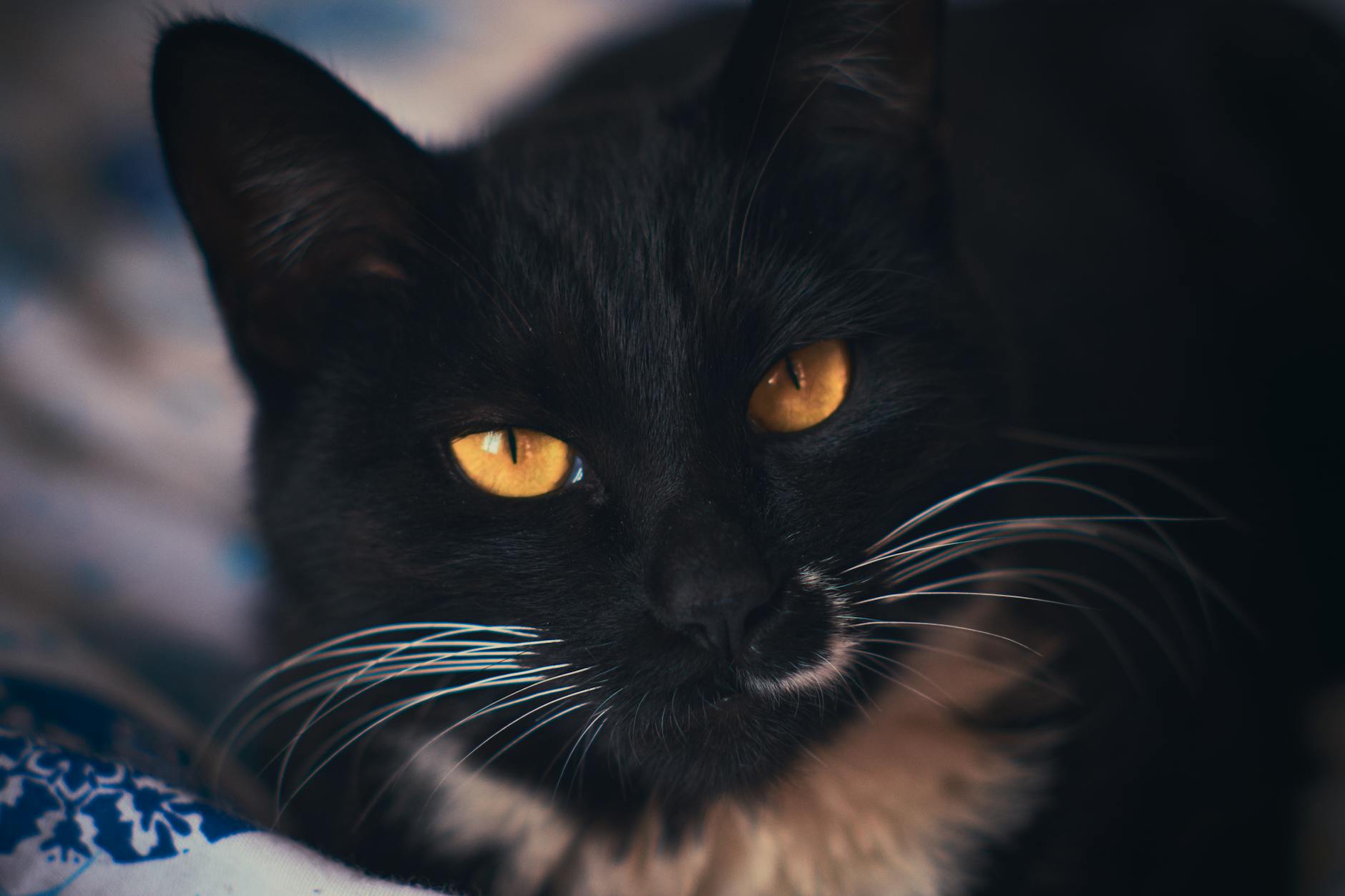 Pexels photo 16827805