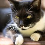 Pexels photo 9881124