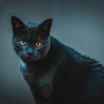 Pexels photo 13978526